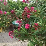Casa O Futuro 阿尔科巴萨