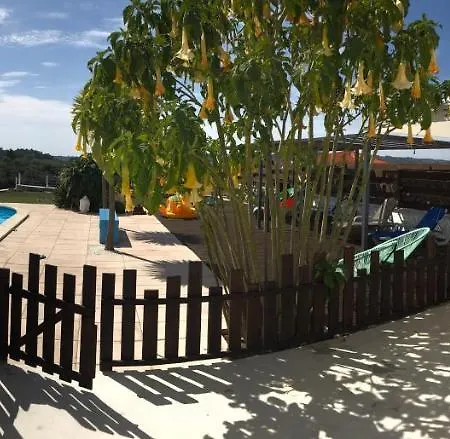 Casa O Futuro Couette-café Alcobaça