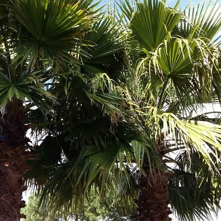 Casa O Futuro Bed & Breakfast