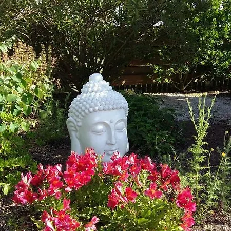 Casa O Futuro Alcobaça