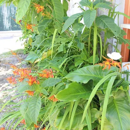 Casa O Futuro Couette-café Alcobaça