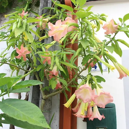 Bed & Breakfast Casa O Futuro