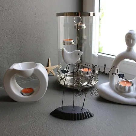 Casa O Futuro Alcobaça