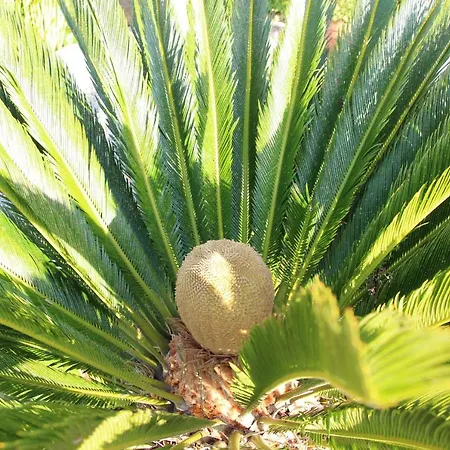 Casa O Futuro Couette-café Alcobaça